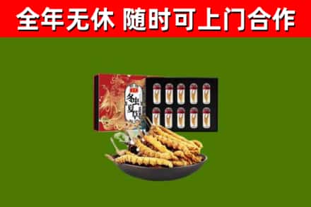 酉阳县回收冬虫夏草价格